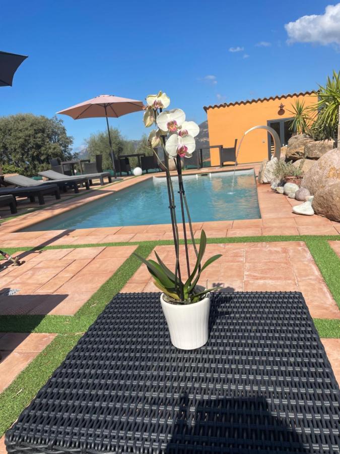 A Casa Di Jo Bed & Breakfast Calenzana Bagian luar foto
